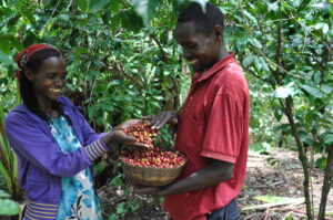 Bulti, agriculteur éthiopien