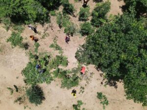 régénérer les sols afin de lutter contre le réchauffement climatique