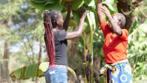 Formation des villageois à la RNA par World Vision France au Kenya