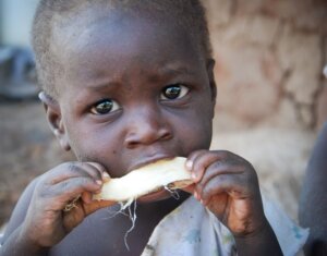 Sécheresse et famine en afrique