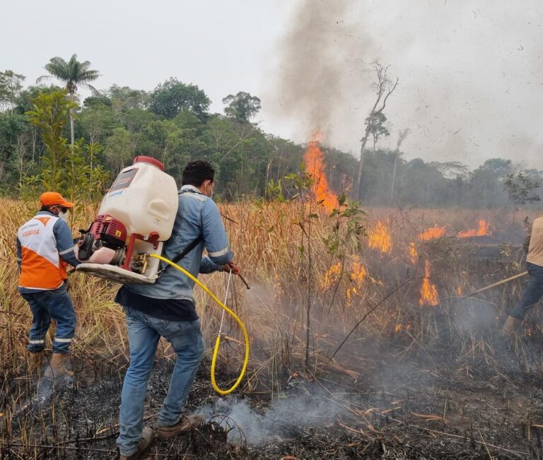 incendies en bolivie