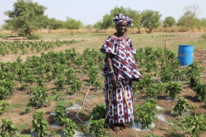 accès à l'eau au sénégal