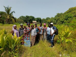aider les familles à se déplacer à diembering au sénégal